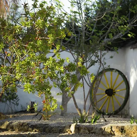 Horizonte Bed & Breakfast Carvoeiro (Lagoa)