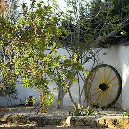 Bed and breakfast Horizonte Carvoeiro (Lagoa)